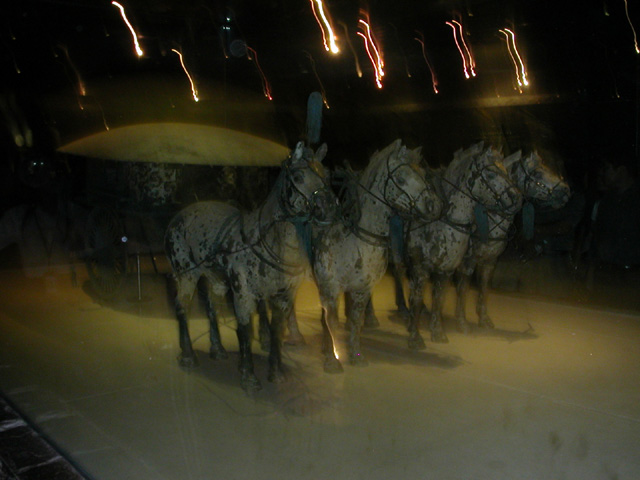DSCN2468