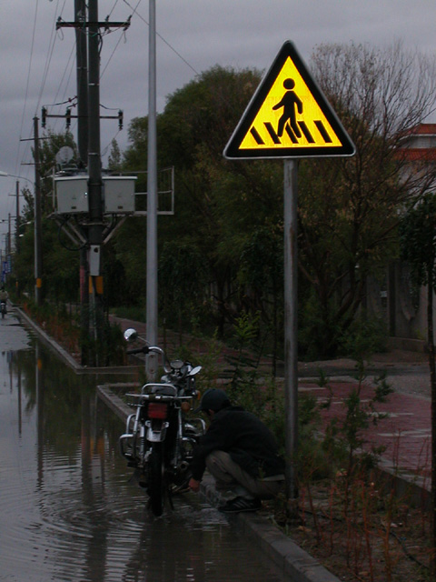 50_Dscn2696