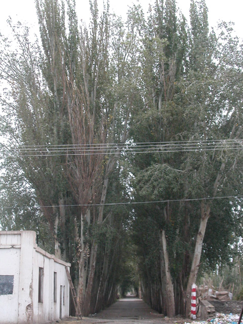 50_Dscn2704