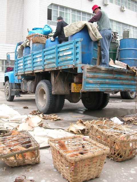 50_Dscn2730