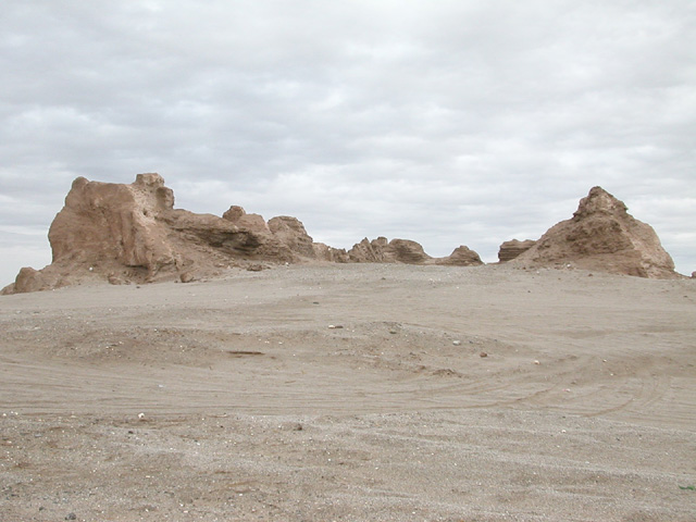 50_Dscn2771