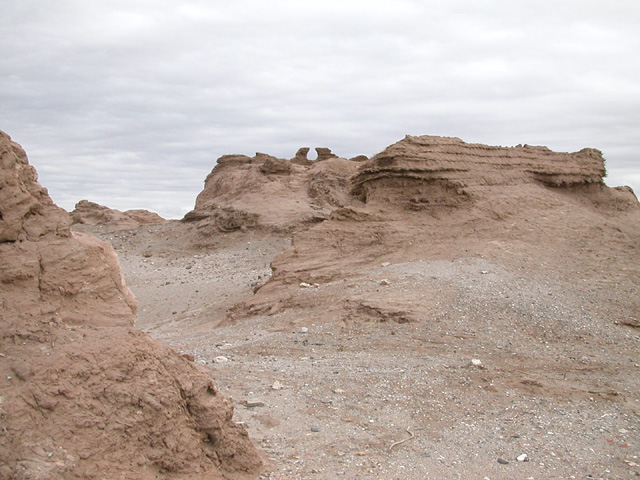 50_Dscn2773