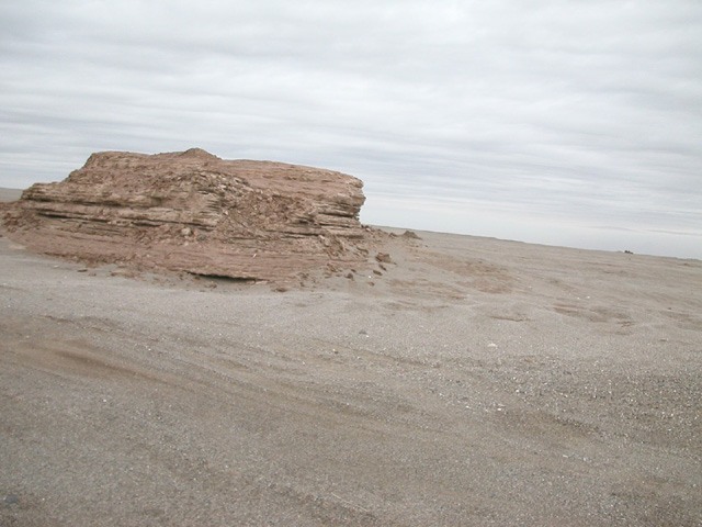50_Dscn2782