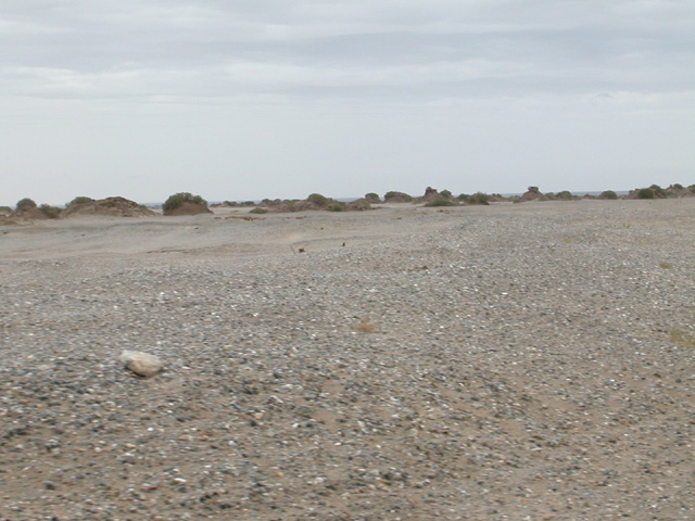 50_Dscn2785