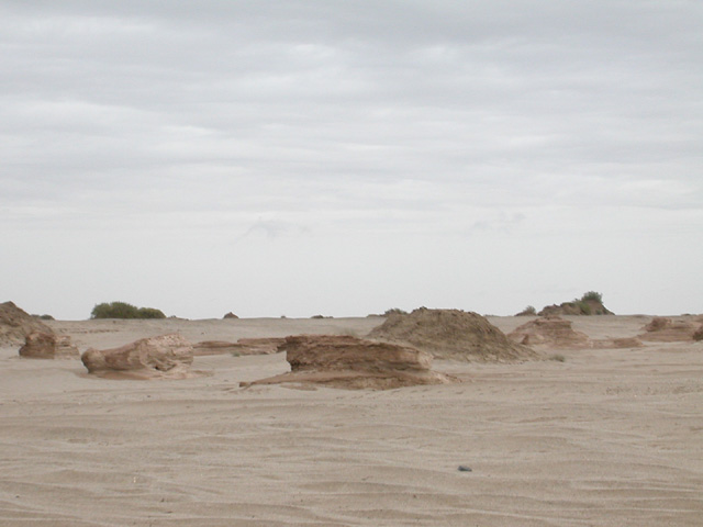 50_Dscn2790