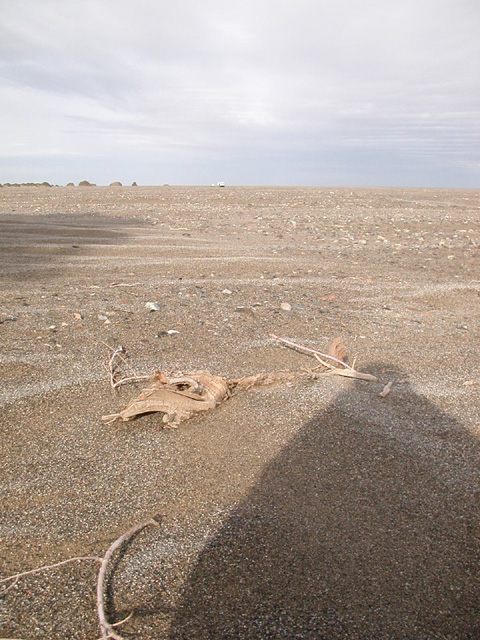 50_Dscn2812