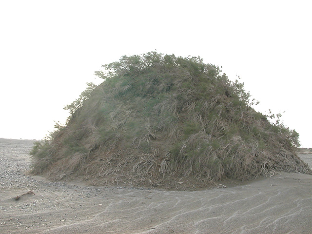 50_Dscn2813
