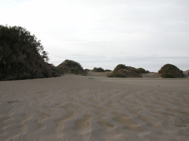 50_Dscn2816