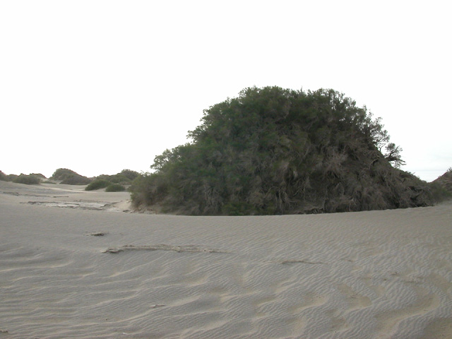 50_Dscn2817