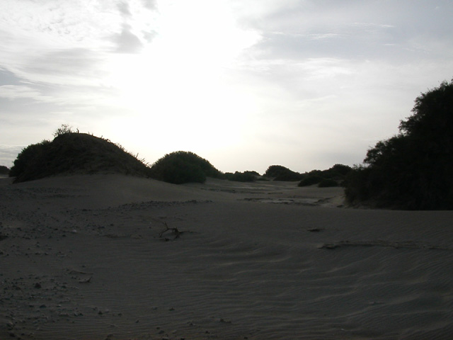 50_Dscn2818