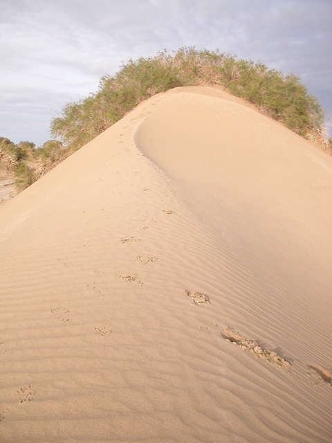 50_Dscn2824