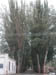 50_Dscn2704
