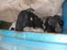 50_Dscn2710