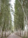 50_Dscn2741