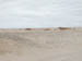 50_Dscn2758
