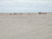 50_Dscn2761