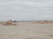 50_Dscn2764