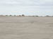 50_Dscn2784