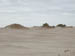 50_Dscn2788