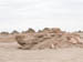 50_Dscn2795
