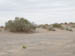 50_Dscn2802