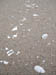 50_Dscn2811