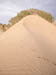 50_Dscn2824