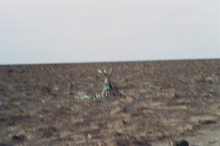 64_14A#_I15