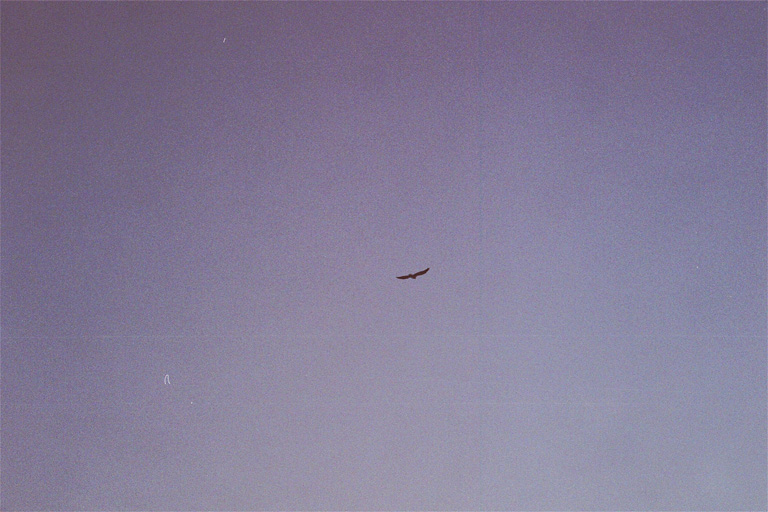 80_26A#_X27