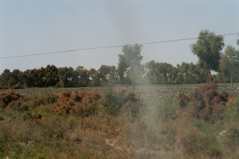 03_12A#_O12