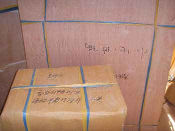 SSL15984