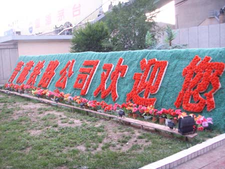 SSL13449